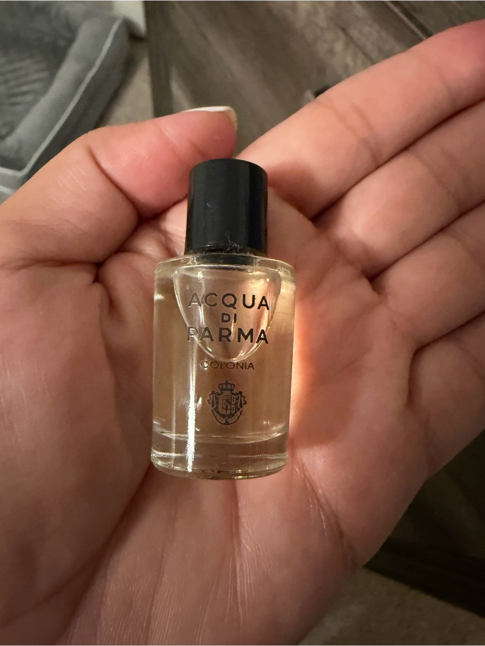 Acqua Di Parma Small Colonia Bottle with Black Cap and Amber Liquid
